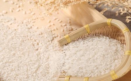 哪種大米煮飯?zhí)貏e香特別好吃