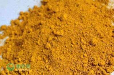 黃粉的正確使用方法插圖 黃粉的正確使用方法插圖