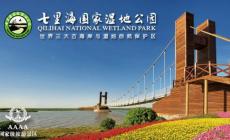天津一日旅游攻略 必玩的景點(diǎn) 天津七里海國(guó)家濕地公園2024