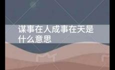 謀事在人成事在天是什么意思 謀事在人成事在天的意思