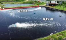 一畝地可以養多少魚合適（一畝地可以養多少魚）