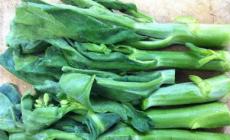 芥藍菜的圖片功效與作用