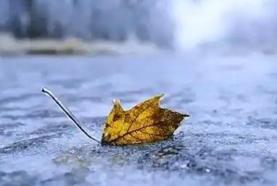 寒潮對農作物危害最大的季節是