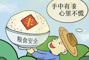 糧食安全包括哪些方面的內容