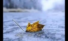 寒潮對農作物危害最大的季節是