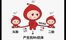 新生兒溶血癥是什么意思 新生兒溶血癥是什么意思啊