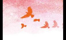 2019閱兵時間安排（2019年國慶閱兵時間幾點開始）