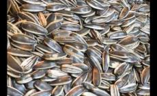 女人長期吃瓜子的好處與壞處