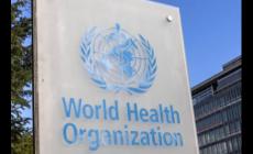 organization英語怎么讀 organization是什么意思