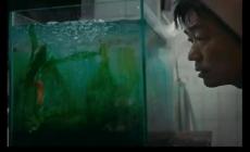 王寶強《棋士》電視劇劇情介紹 第二集劇情分析