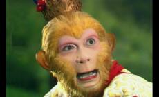 孫猴子的臉歇后語下一句 有關孫猴子的歇后語大全