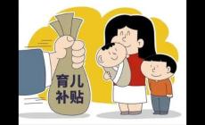 什么是育兒補貼制度及其主要目標