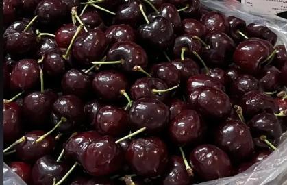 車?yán)遄邮裁醇竟?jié)成熟 車?yán)遄邮窃谑裁醇竟?jié)成熟的