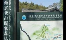 南京老山國家森林公園免費嗎 南京老山國家森林公園要門票嗎