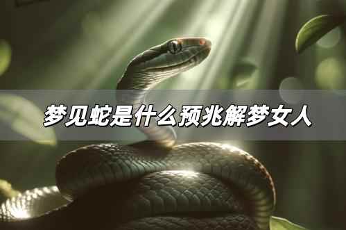 夢(mèng)見(jiàn)蛇是什么預(yù)兆解夢(mèng)女人 夢(mèng)見(jiàn)蛇是什么預(yù)兆解夢(mèng)女生