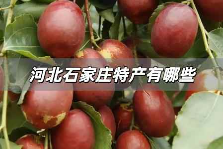 河北石家莊特產(chǎn)有哪些土特產(chǎn)，石家莊的特產(chǎn)有哪些土特產(chǎn)？