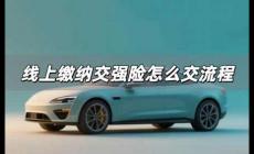 線上繳納交強(qiáng)險怎么交 線上繳納交強(qiáng)險流程是什么