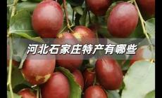 河北石家莊特產有哪些土特產，石家莊的特產有哪些土特產？